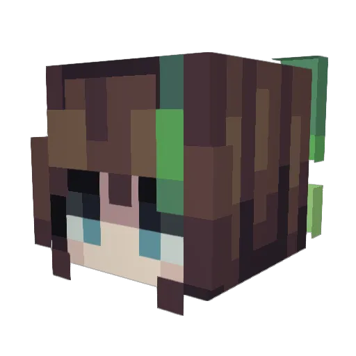 StillyagirlTyler Minecraft avatar head, 3D render