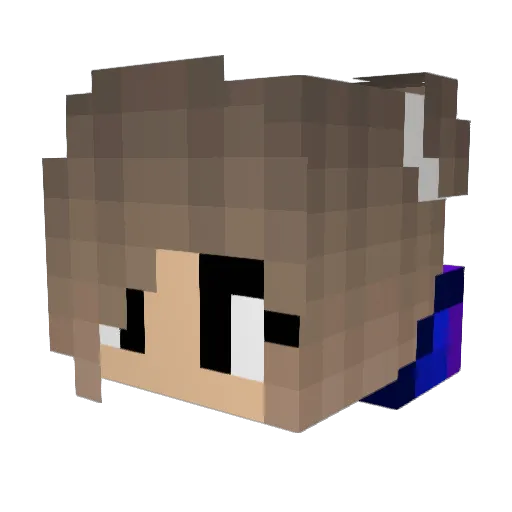 StimpayVillero Minecraft avatar head, 3D render