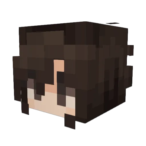 StimulantAbuser Minecraft avatar head, 3D render