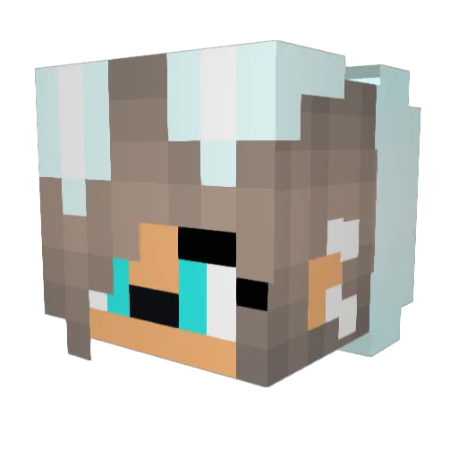 Stinaa_ Minecraft avatar head, 3D render