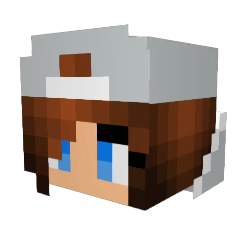 Stine_lhg Minecraft avatar head, 3D render