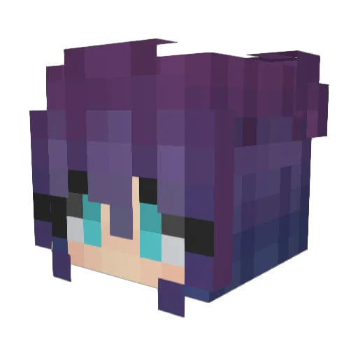 Stiney11 Minecraft avatar head, 3D render