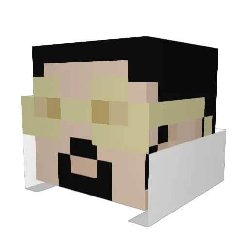 StingBEE21 Minecraft avatar head, 3D render