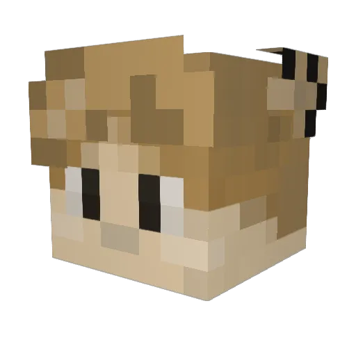 StingBuddy Minecraft avatar head, 3D render