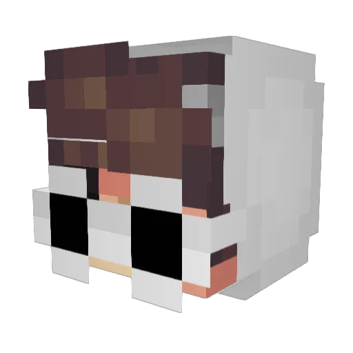 StingersRain Minecraft avatar head, 3D render