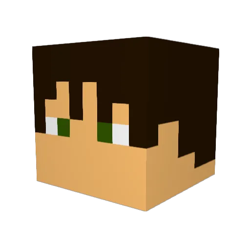 Stingfire5 Minecraft avatar head, 3D render