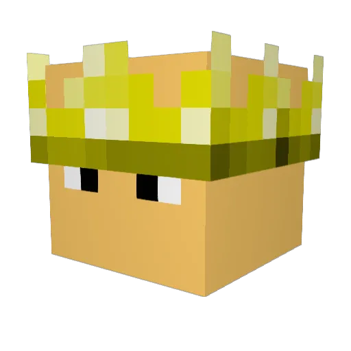 Stingray5555 Minecraft avatar head, 3D render