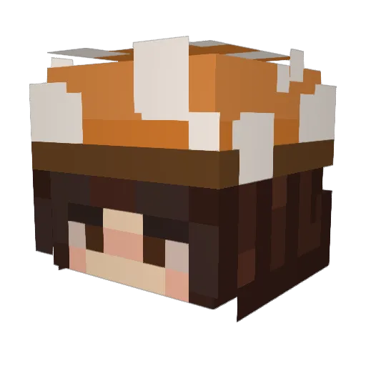 Stingulary Minecraft avatar head, 3D render
