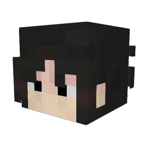 StingyCup114 Minecraft avatar head, 3D render