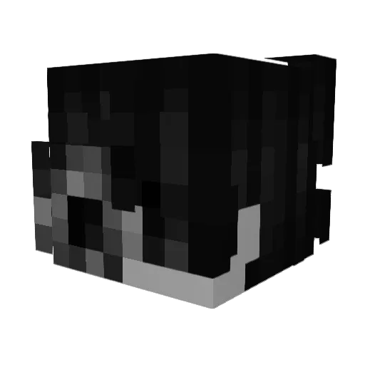 Stingz Minecraft avatar head, 3D render