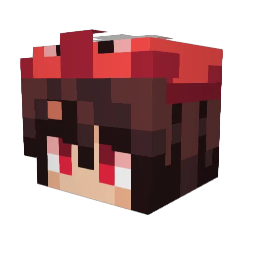 Stinker2006 Minecraft avatar head, 3D render