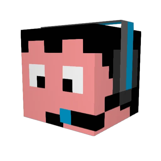 Stinkeywinkey Minecraft avatar head, 3D render