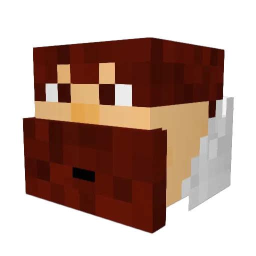 Stinki10 Minecraft avatar head, 3D render