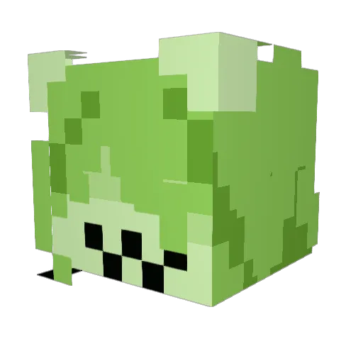 Stinkiez Minecraft avatar head, 3D render