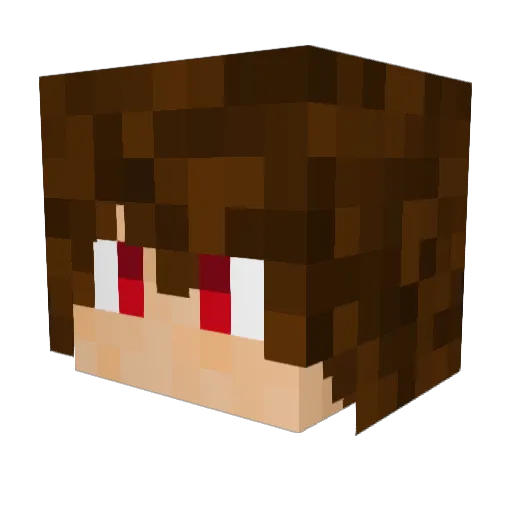 Stinkobelinko Minecraft avatar head, 3D render