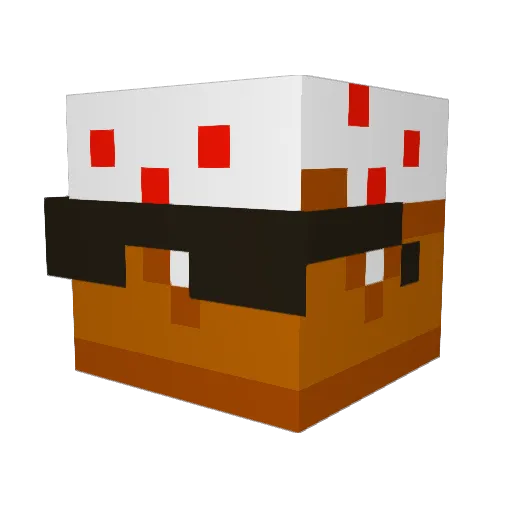 Stinkraystink Minecraft avatar head, 3D render