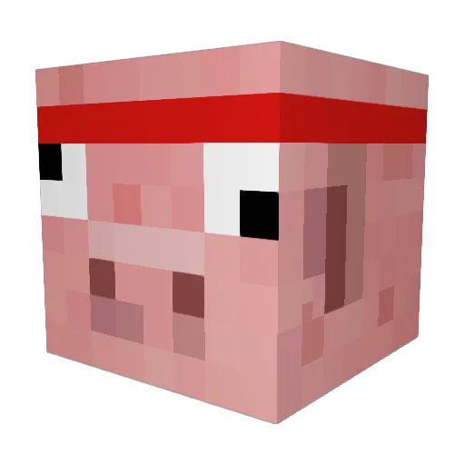 Stinksauer Minecraft avatar head, 3D render