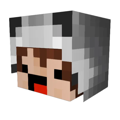 Stinkthic Minecraft avatar head, 3D render