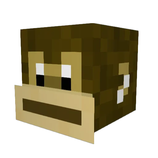 Stinky273 Minecraft avatar head, 3D render