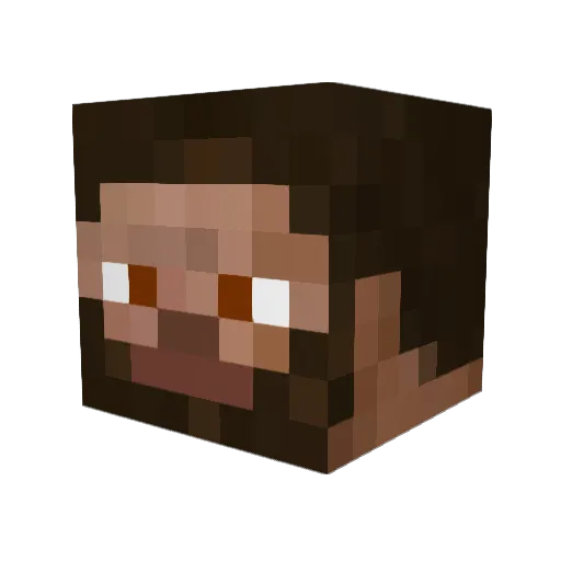 StinkyBadger Minecraft avatar head, 3D render