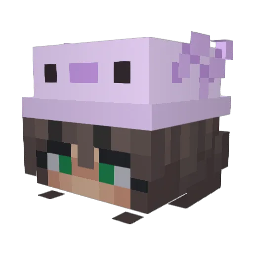 StinkyBird0808 Minecraft avatar head, 3D render