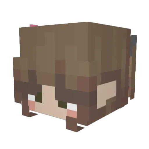 StinkyBurrito12 Minecraft avatar head, 3D render