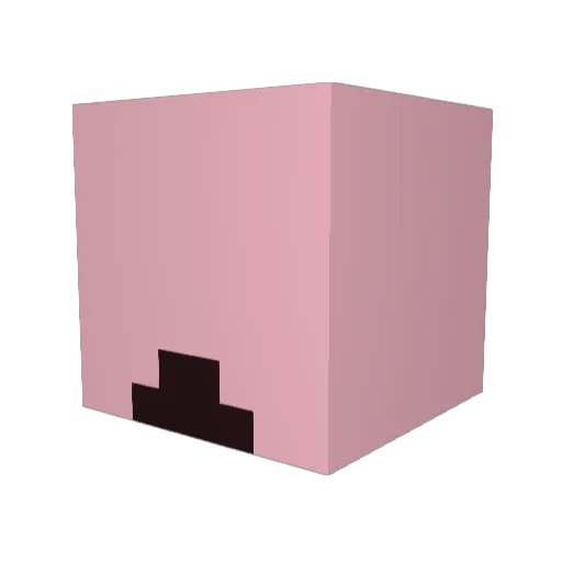 StinkyDawg2204 Minecraft avatar head, 3D render