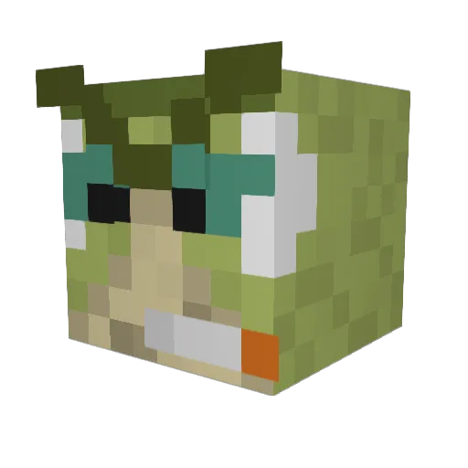 StinkyDooDood Minecraft avatar head, 3D render