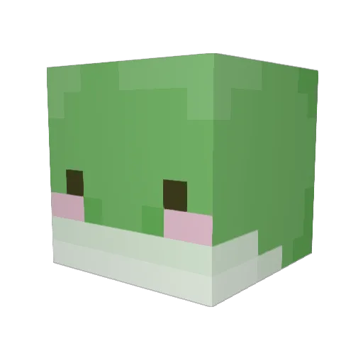 StinkyFrog33 Minecraft avatar head, 3D render