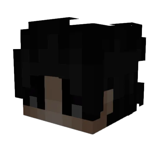 StinkyMan54 Minecraft avatar head, 3D render