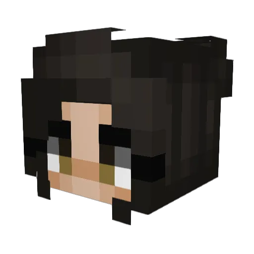 StinkyNapkin Minecraft avatar head, 3D render