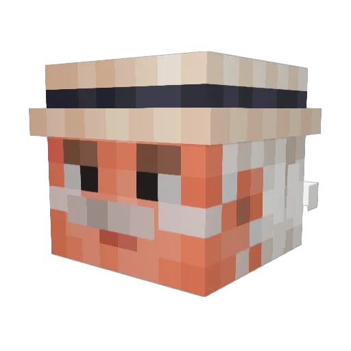 StinkyPooper Minecraft avatar head, 3D render