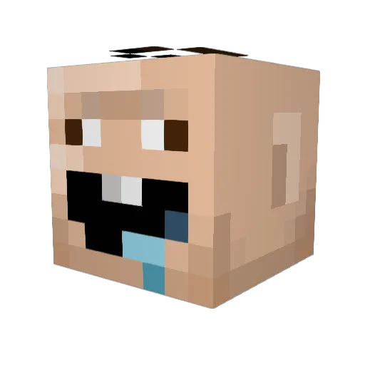 StinkyStanky34 Minecraft avatar head, 3D render