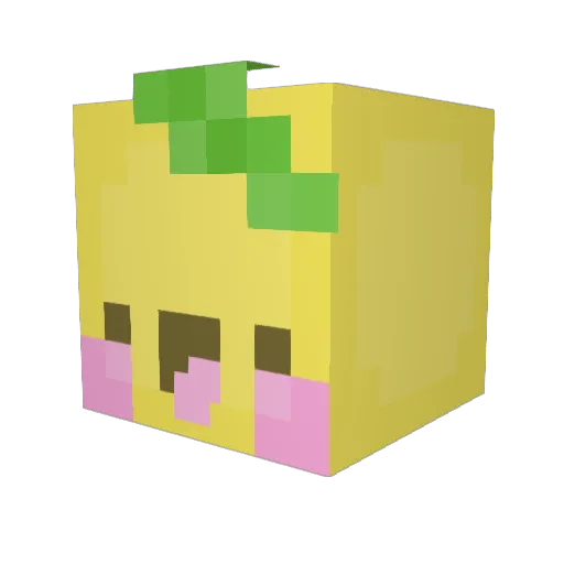 StinkyTheCat Minecraft avatar head, 3D render