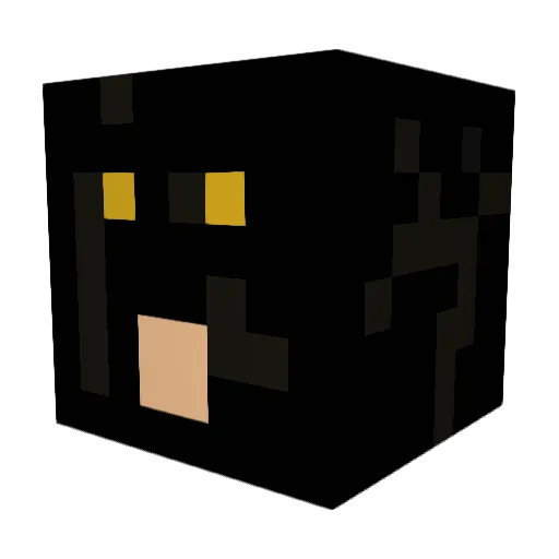 StinkyWillyV Minecraft avatar head, 3D render