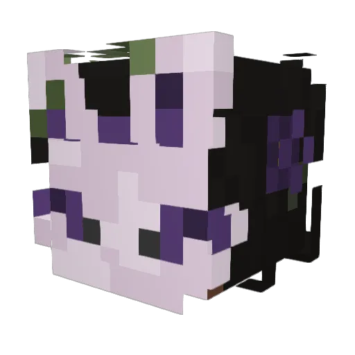 Stinky_Wormlord Minecraft avatar head, 3D render