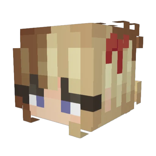 Stinkybagels69 Minecraft avatar head, 3D render