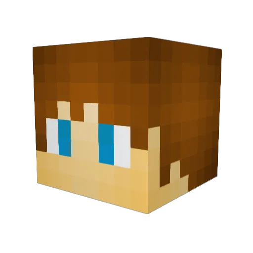 Stinkyjew21 Minecraft avatar head, 3D render