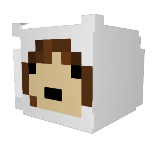 Stinkykaat Minecraft avatar head, 3D render