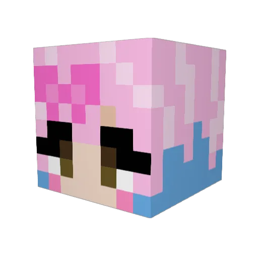 Stinkylilguy Minecraft avatar head, 3D render