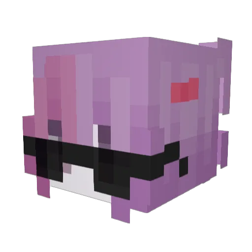 Stinkypinky115 Minecraft avatar head, 3D render