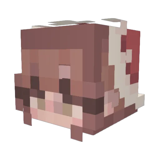 Stinkz_ Minecraft avatar head, 3D render