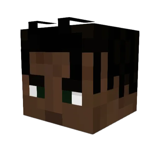 Stinkzy Minecraft avatar head, 3D render