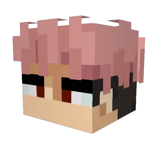 Stirfryed Minecraft avatar head, 3D render