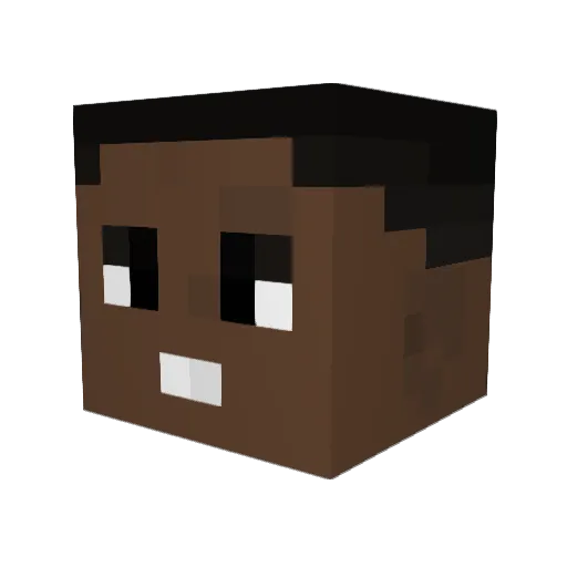 Stirnshamer67 Minecraft avatar head, 3D render
