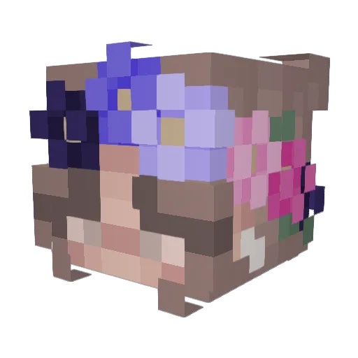 StitchWitch17 Minecraft avatar head, 3D render