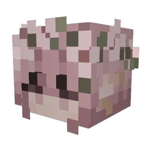 Stitch_41 Minecraft avatar head, 3D render