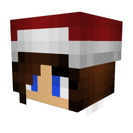 Stitch_Josephine Minecraft avatar head, 3D render