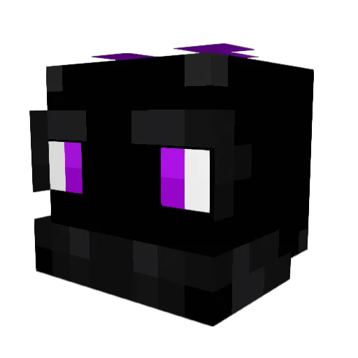Stitchy1119 Minecraft avatar head, 3D render
