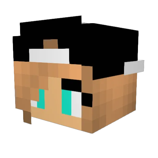 Stivisoon Minecraft avatar head, 3D render